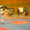 tigerpokal pirmasens 2009 026